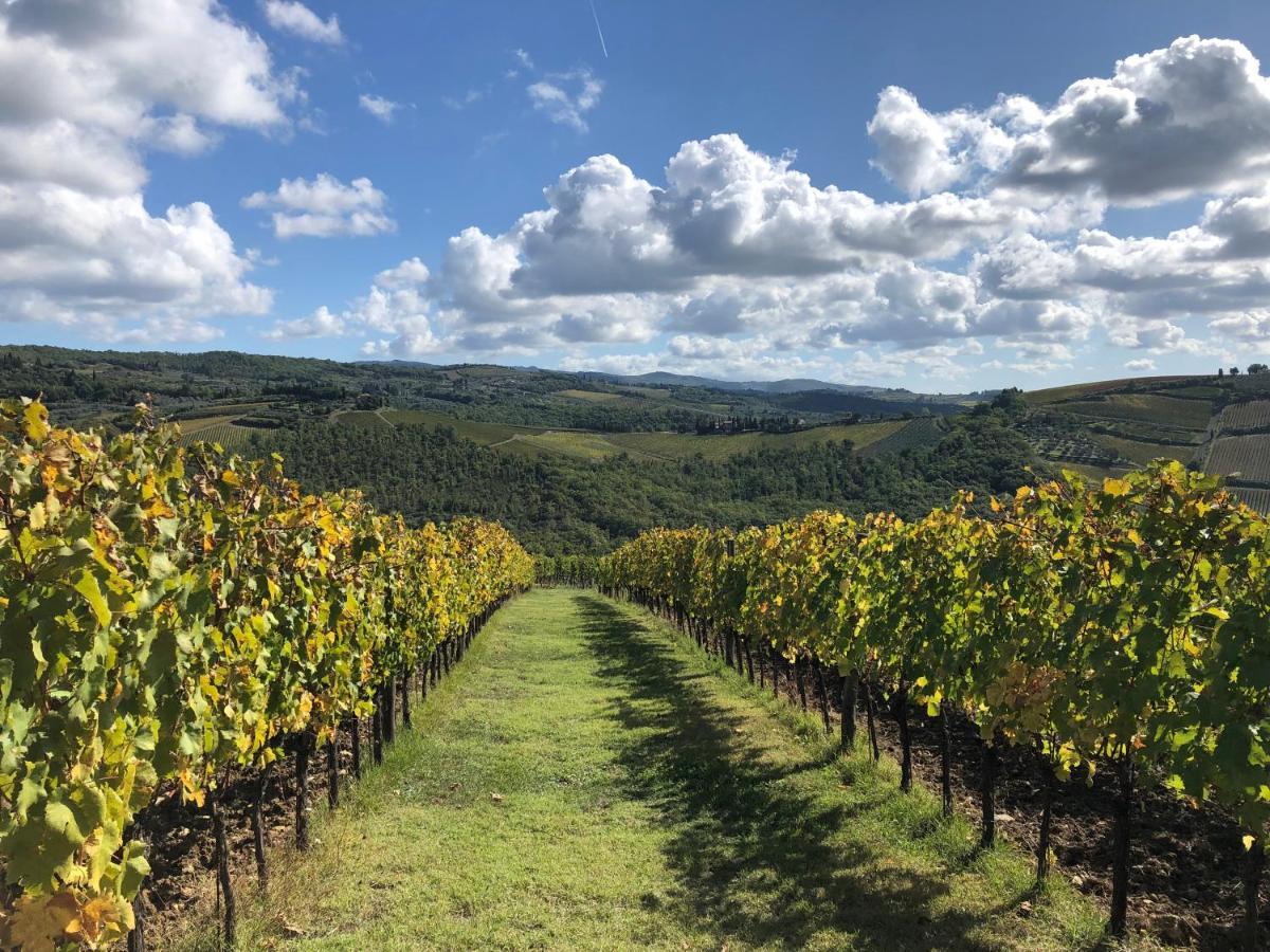 Fattoria Di Rignana Winery Bnb Greve in Chianti Luaran gambar