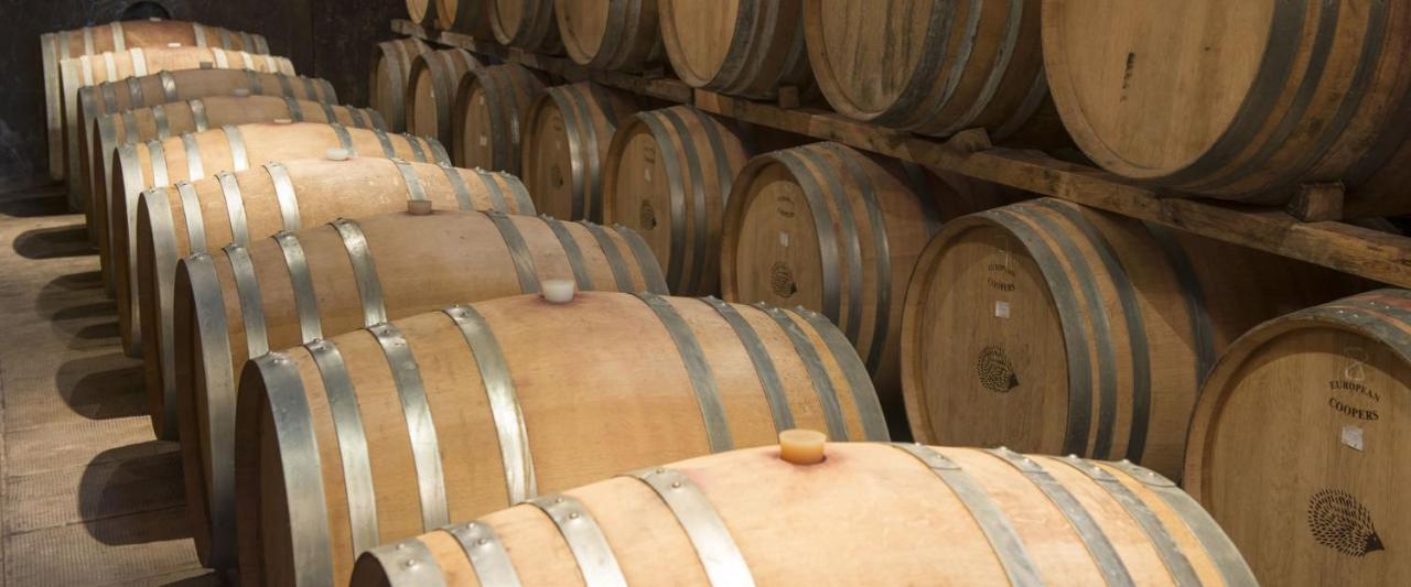 Fattoria Di Rignana Winery Bnb Greve in Chianti Luaran gambar