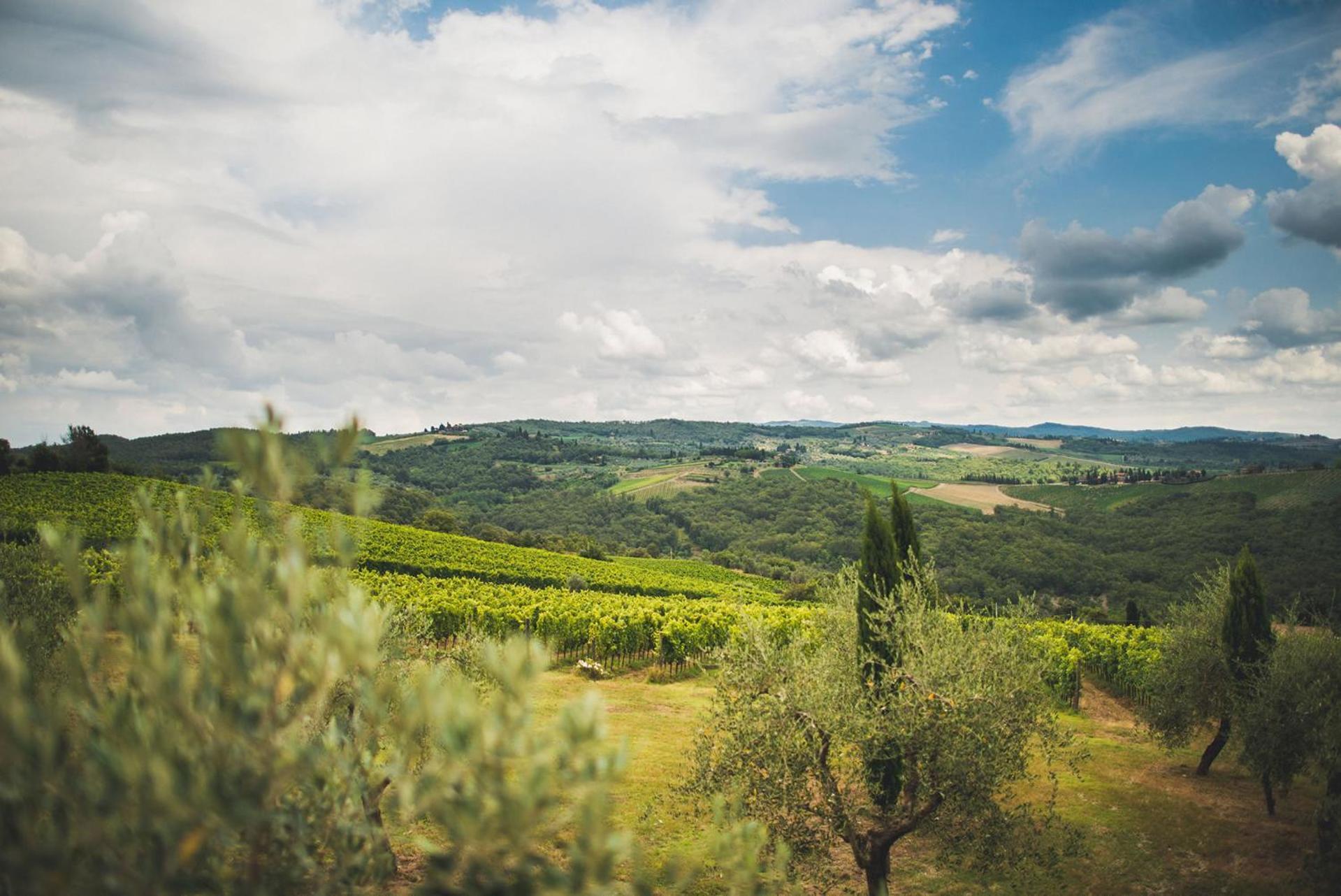 Fattoria Di Rignana Winery Bnb Greve in Chianti Luaran gambar