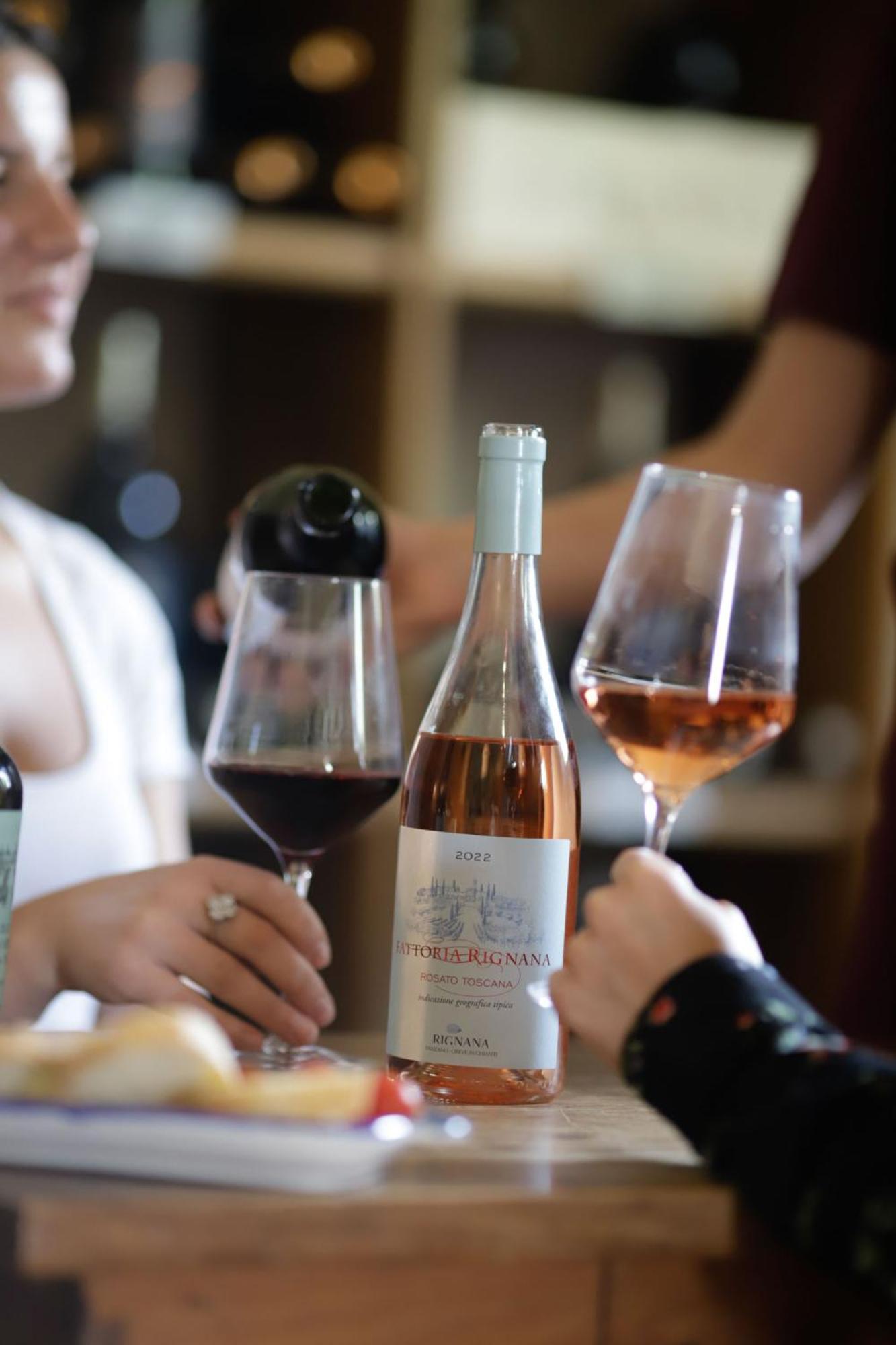 Fattoria Di Rignana Winery Bnb Greve in Chianti Luaran gambar